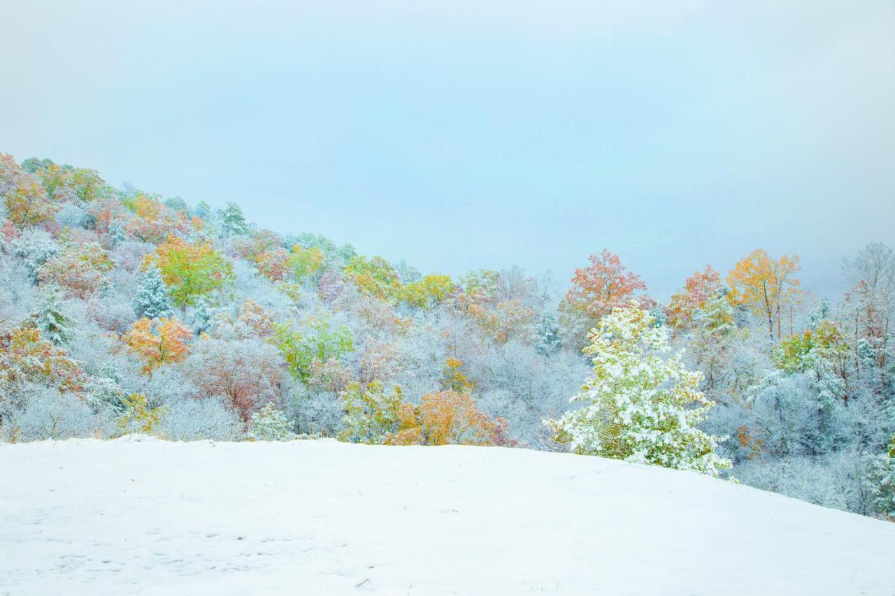 개틀린버그 Leconte Mountain Breeze 빌라 외부 사진