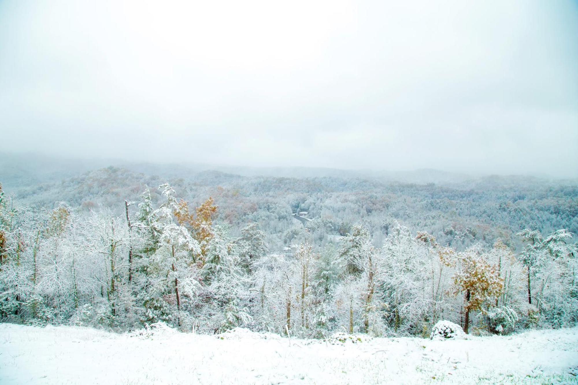 개틀린버그 Leconte Mountain Breeze 빌라 외부 사진